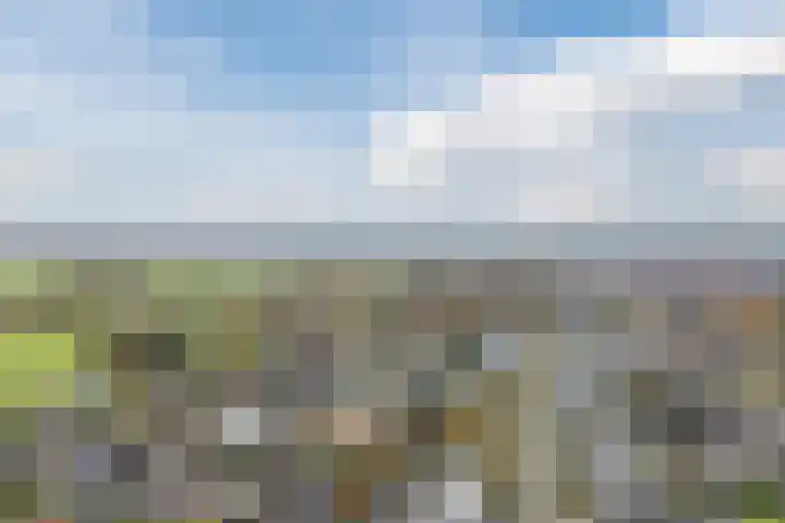 Krommekamp 77 Harderwijk thumbnail 88