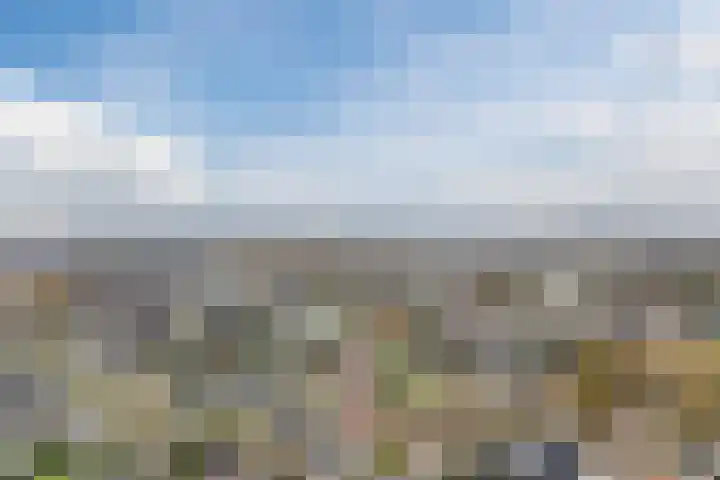 Krommekamp 77 Harderwijk thumbnail 89