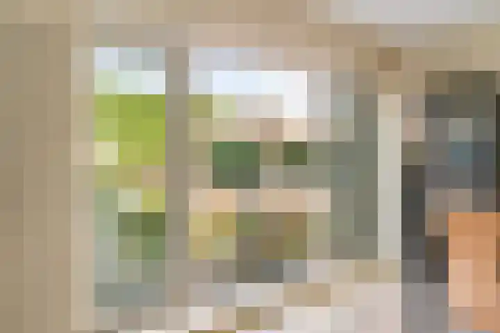 Krommeland 29 Velsen-Zuid thumbnail 16