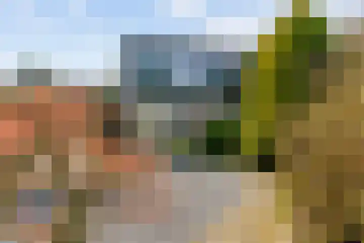 Krommeland 29 Velsen-Zuid thumbnail 18