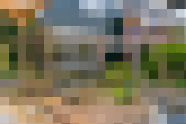 Krommeland 29 Velsen-Zuid thumbnail 19