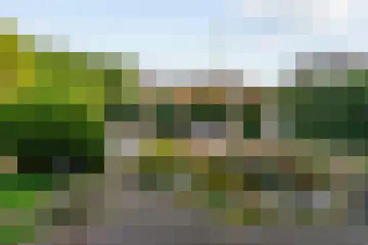 Krommeland 29 Velsen-Zuid thumbnail 20
