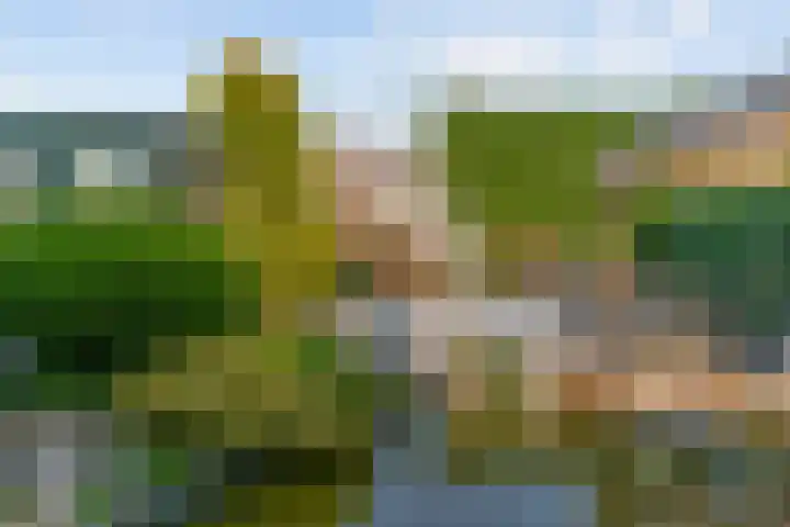 Krommeland 29 Velsen-Zuid thumbnail 21