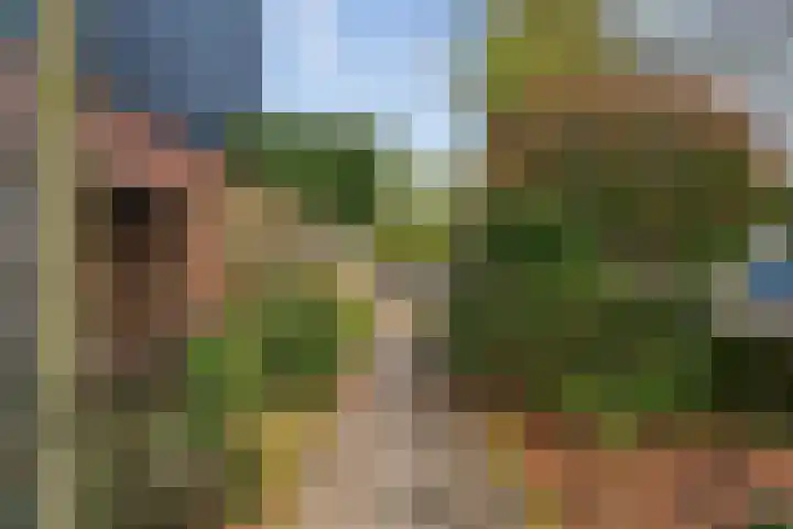 Krommeland 29 Velsen-Zuid thumbnail 26
