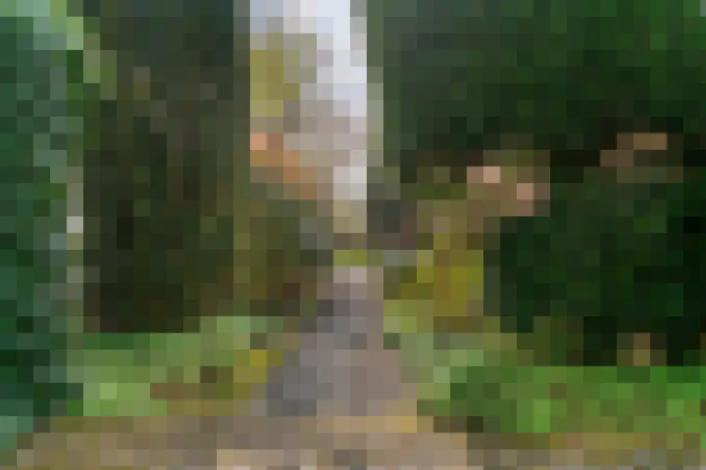 Krommeland 29 Velsen-Zuid thumbnail 27