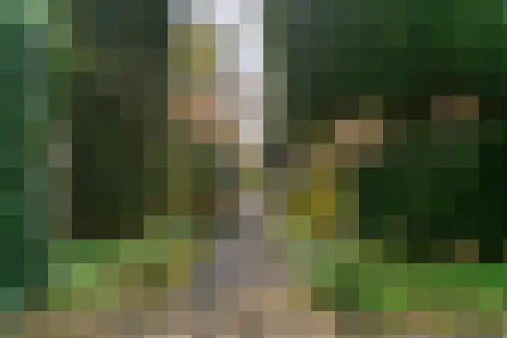 Krommeland 29 Velsen-Zuid thumbnail 27