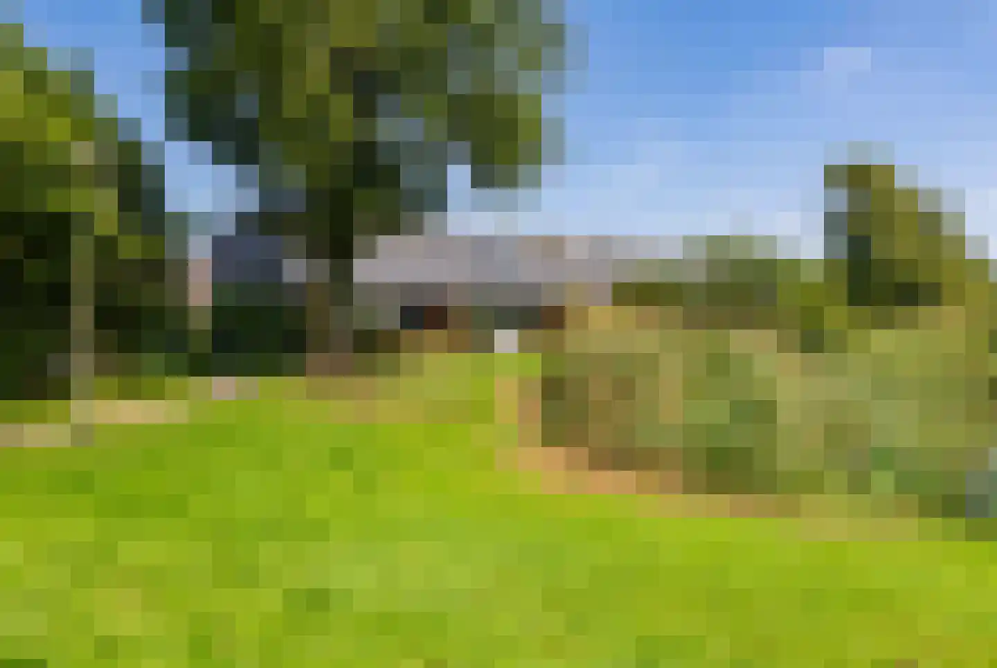 Krommeland 37 Velsen-Zuid thumbnail 35