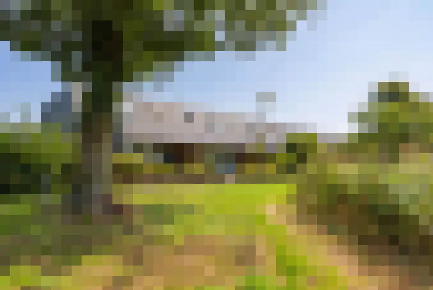 Krommeland 37 Velsen-Zuid thumbnail 36
