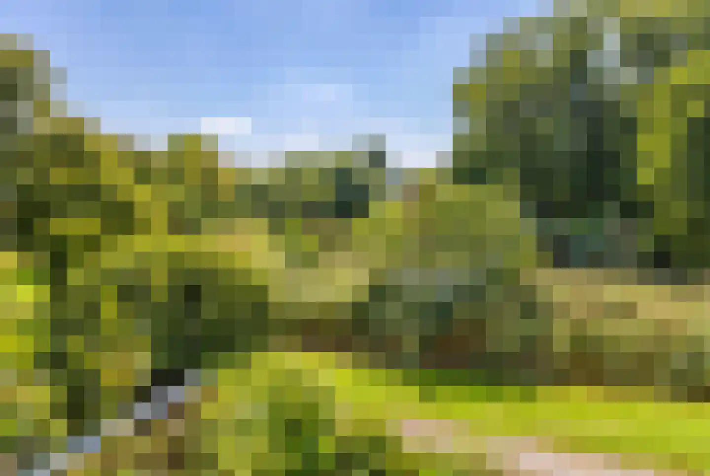 Krommeland 37 Velsen-Zuid thumbnail 39