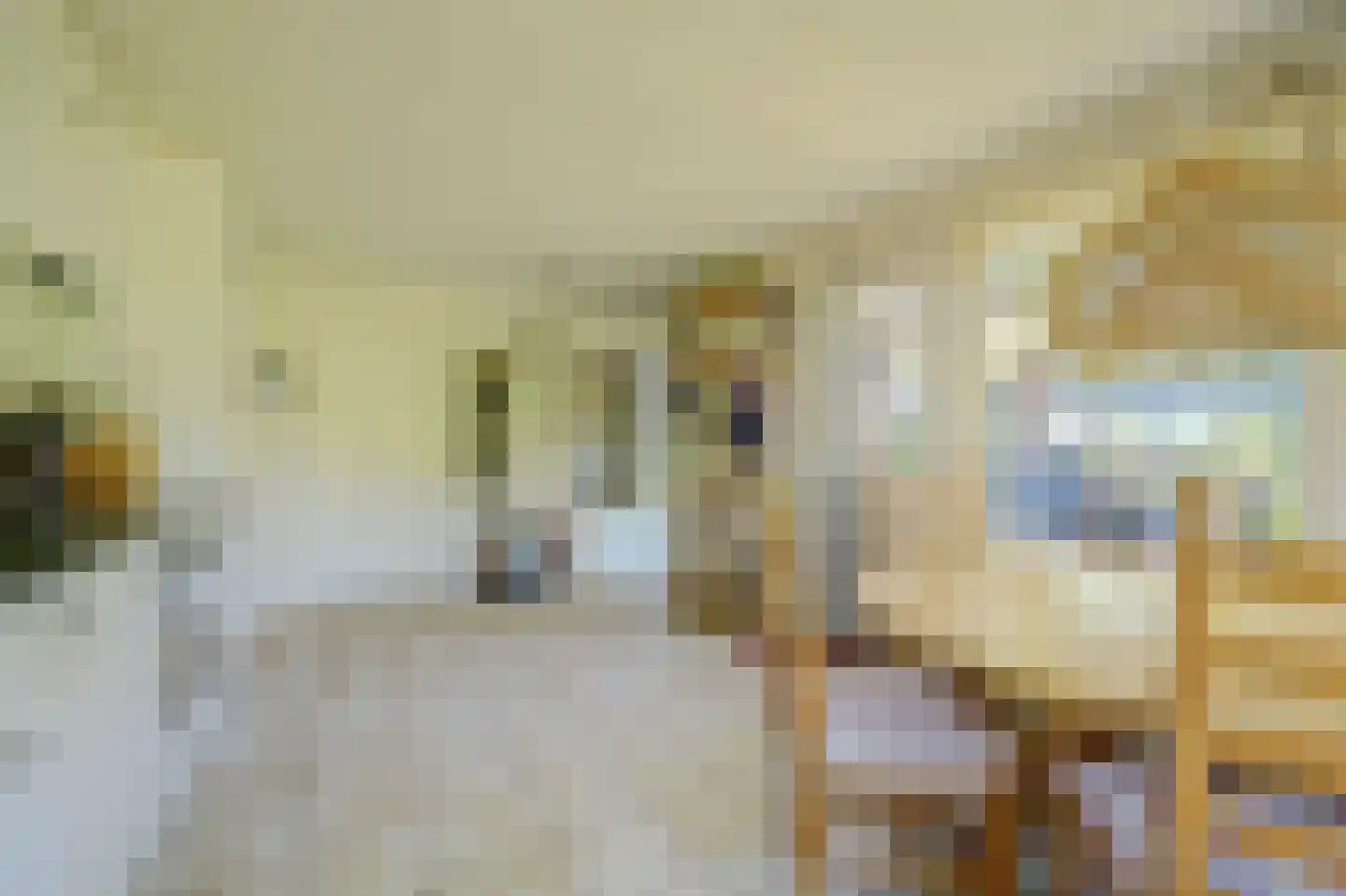 Krommemeet 10 Goes thumbnail 14