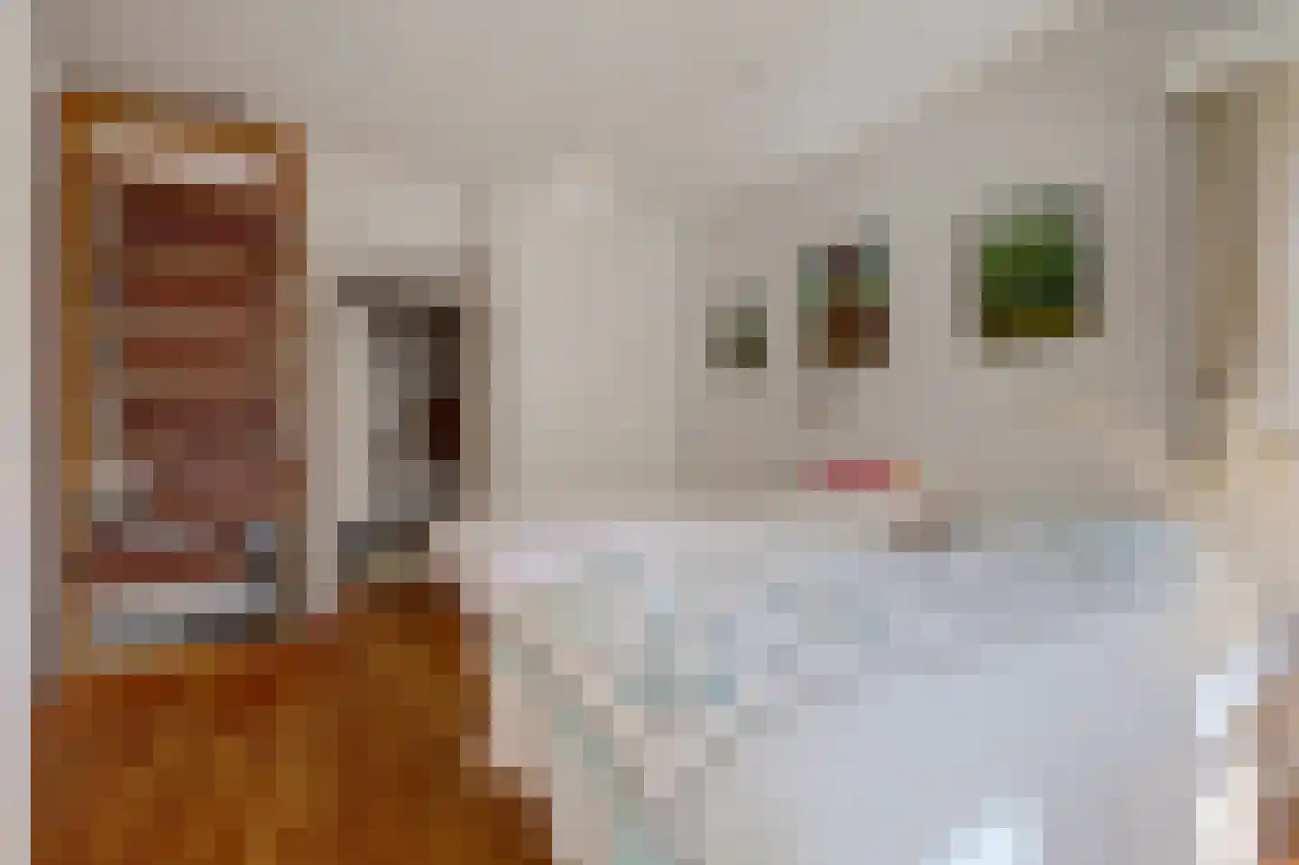 Krommemeet 10 Goes thumbnail 19