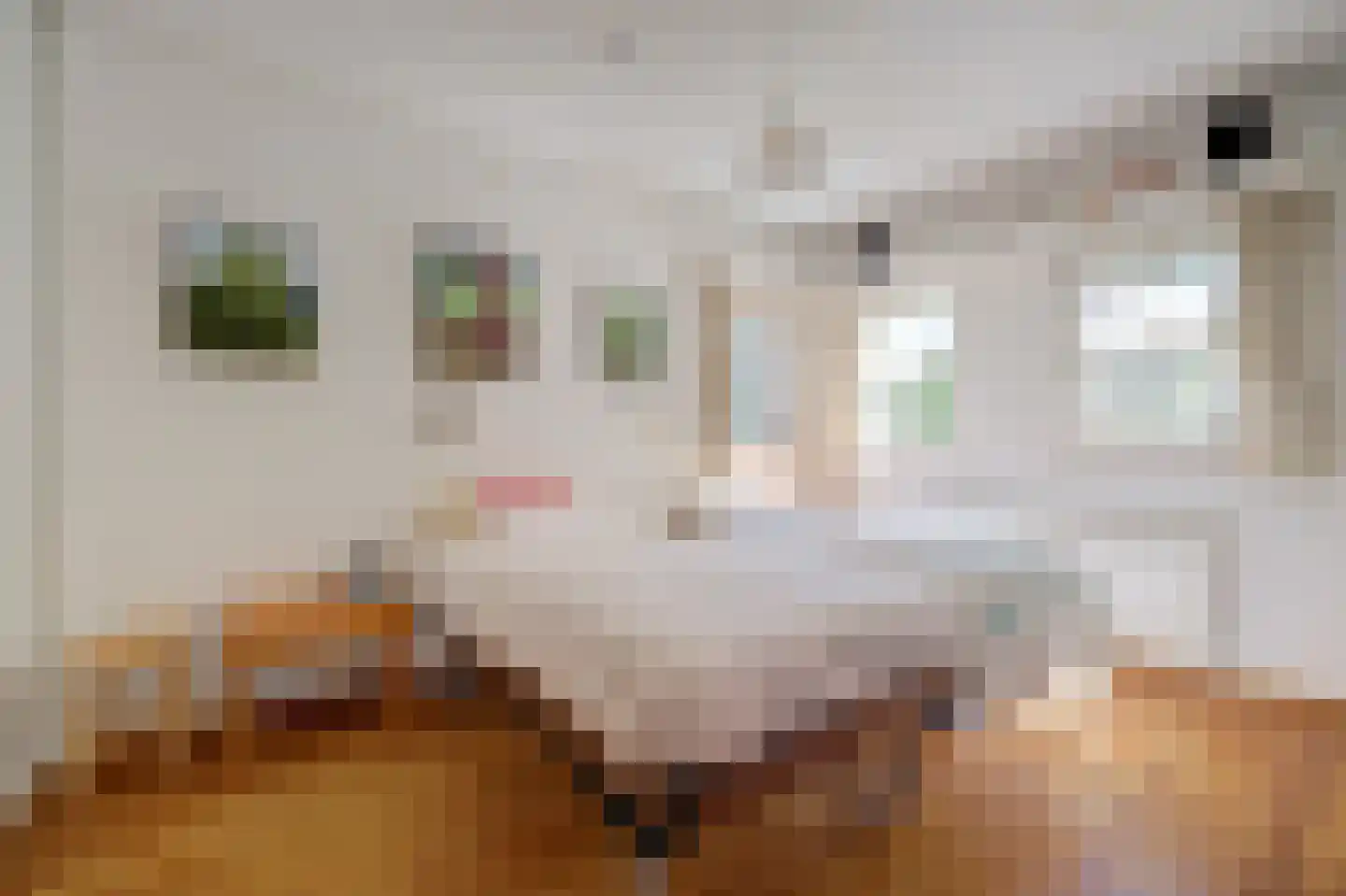 Krommemeet 10 Goes thumbnail 20