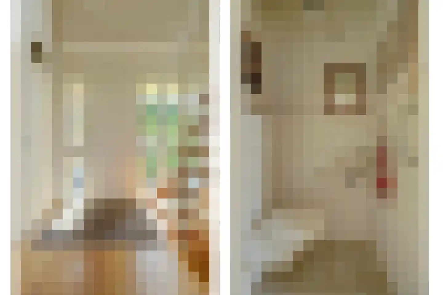 Krommemeet 10 Goes thumbnail 22