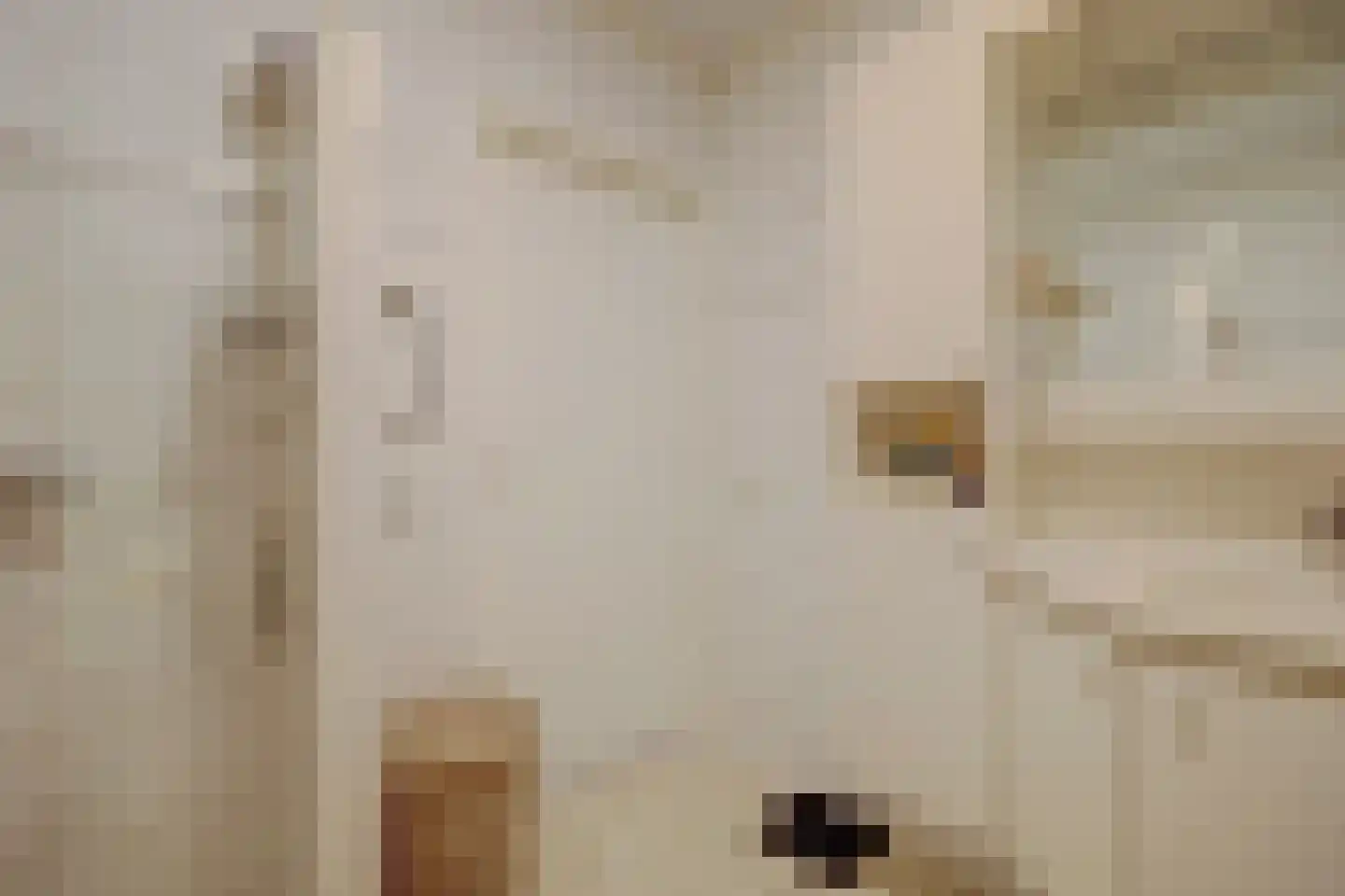 Krommemeet 10 Goes thumbnail 25