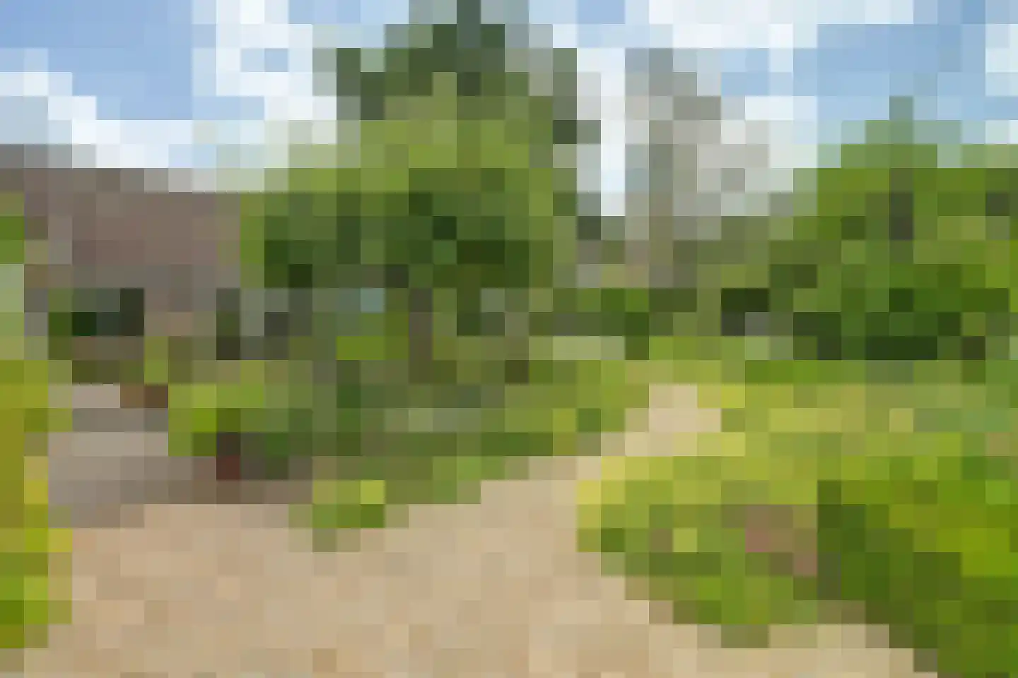 Krommemeet 10 Goes thumbnail 40
