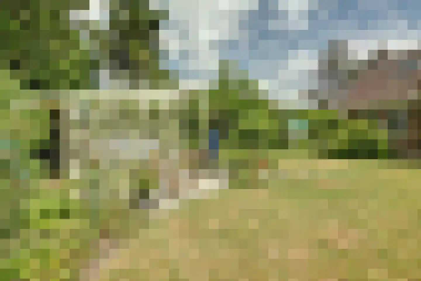 Krommemeet 10 Goes thumbnail 41