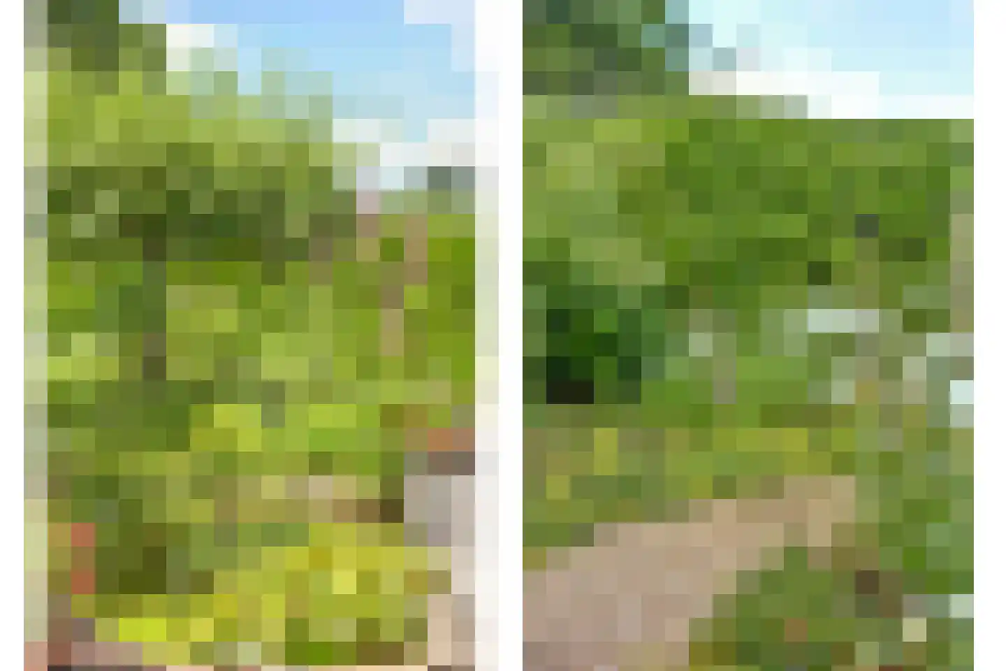 Krommemeet 10 Goes thumbnail 46