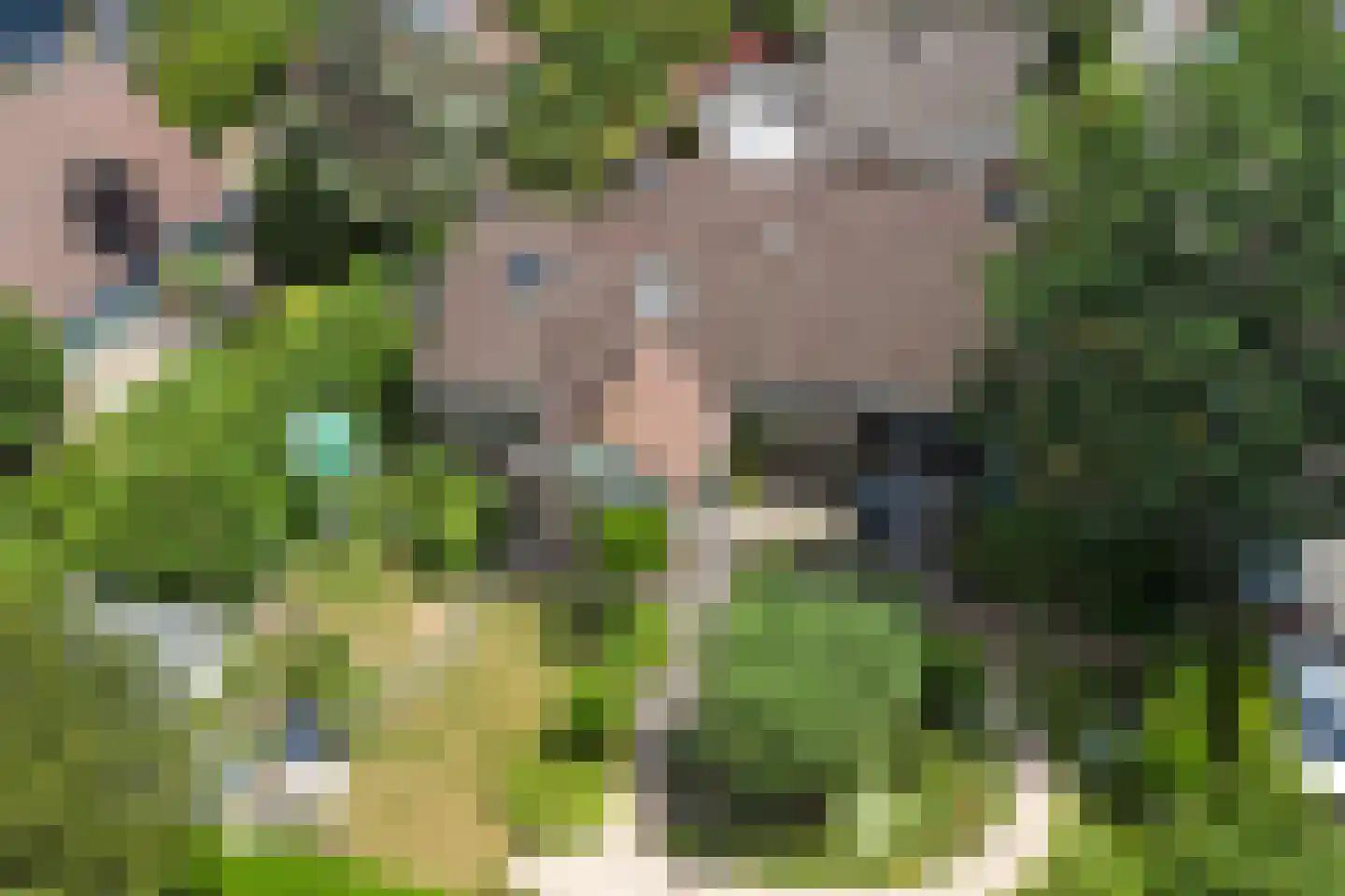 Krommemeet 10 Goes thumbnail 50