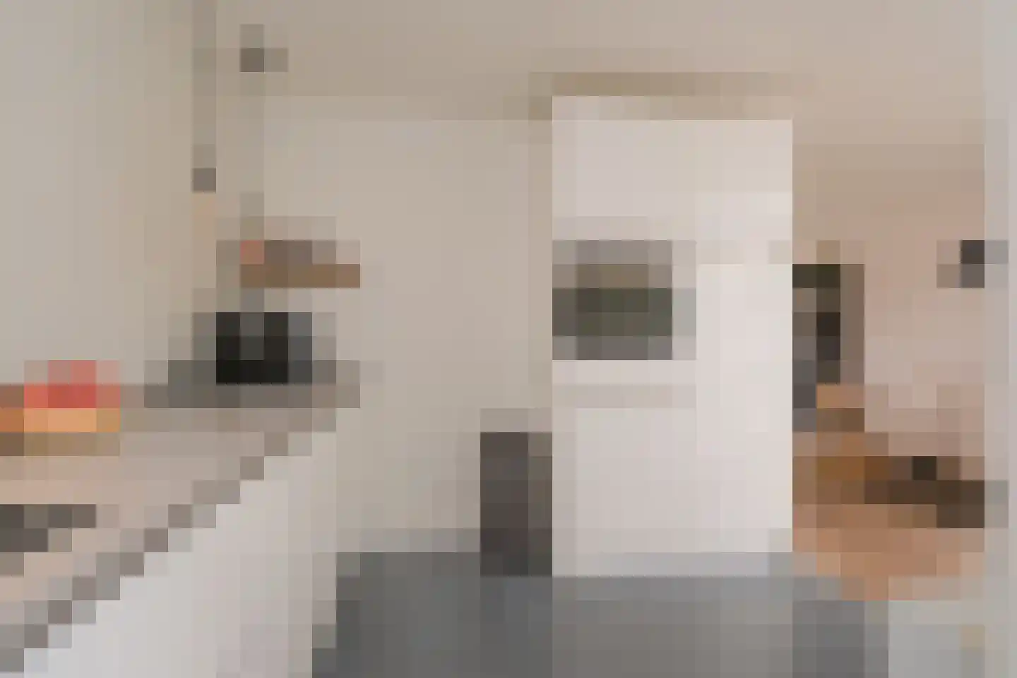 Krommendijk 9 Almelo thumbnail 11