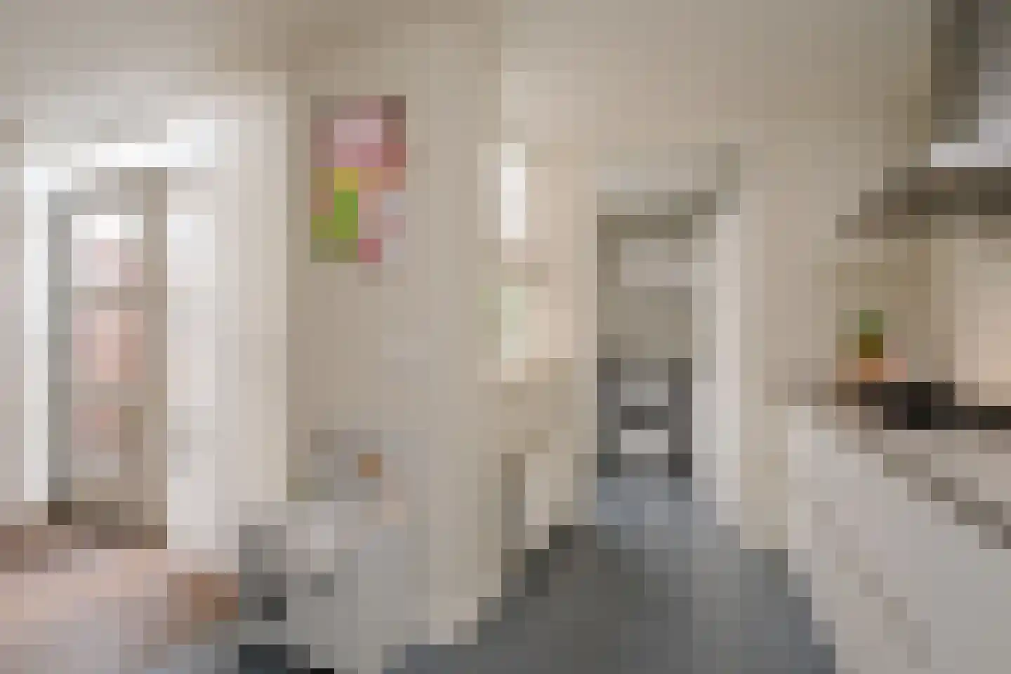 Krommendijk 9 Almelo thumbnail 12