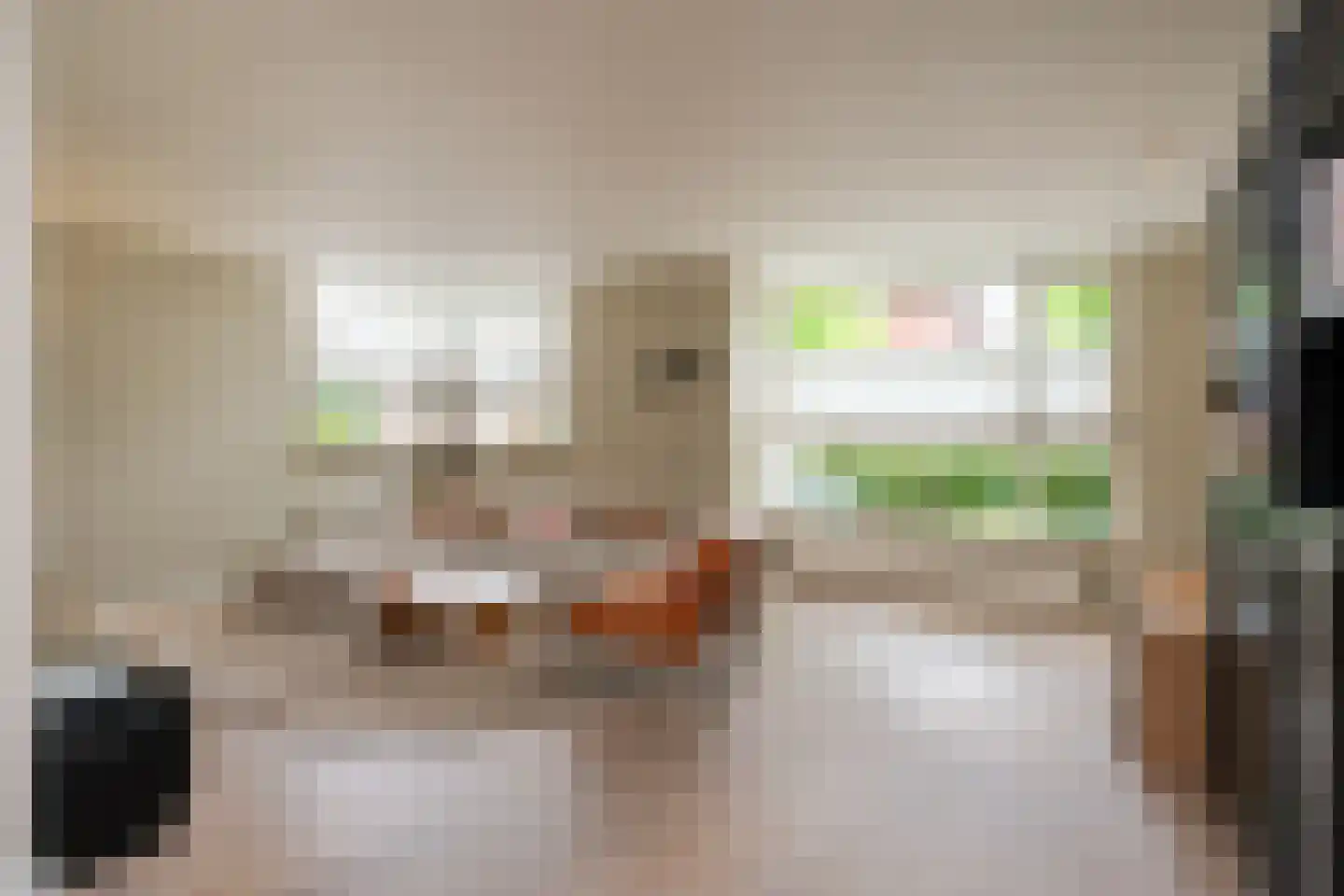 Krommendijk 9 Almelo thumbnail 4
