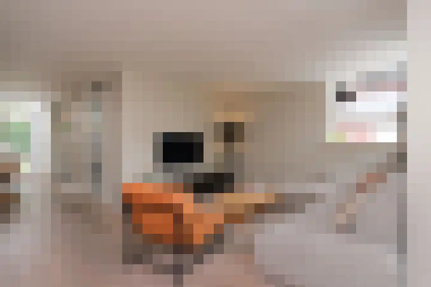 Krommendijk 9 Almelo thumbnail 6