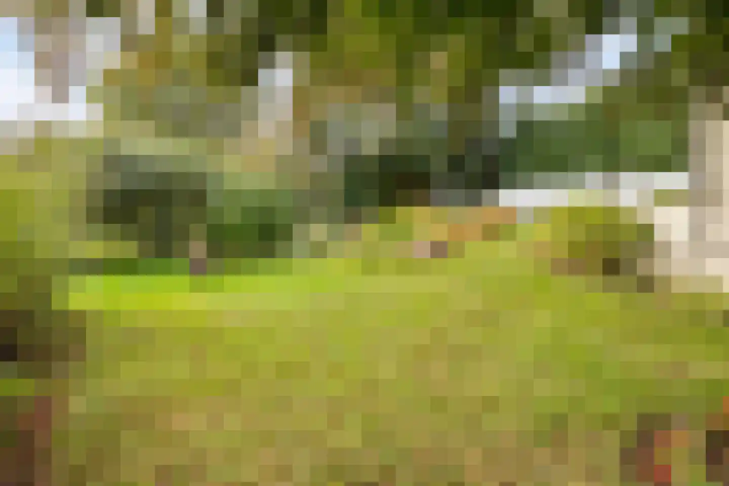 Krommenhoek 1 Maren-Kessel thumbnail 35