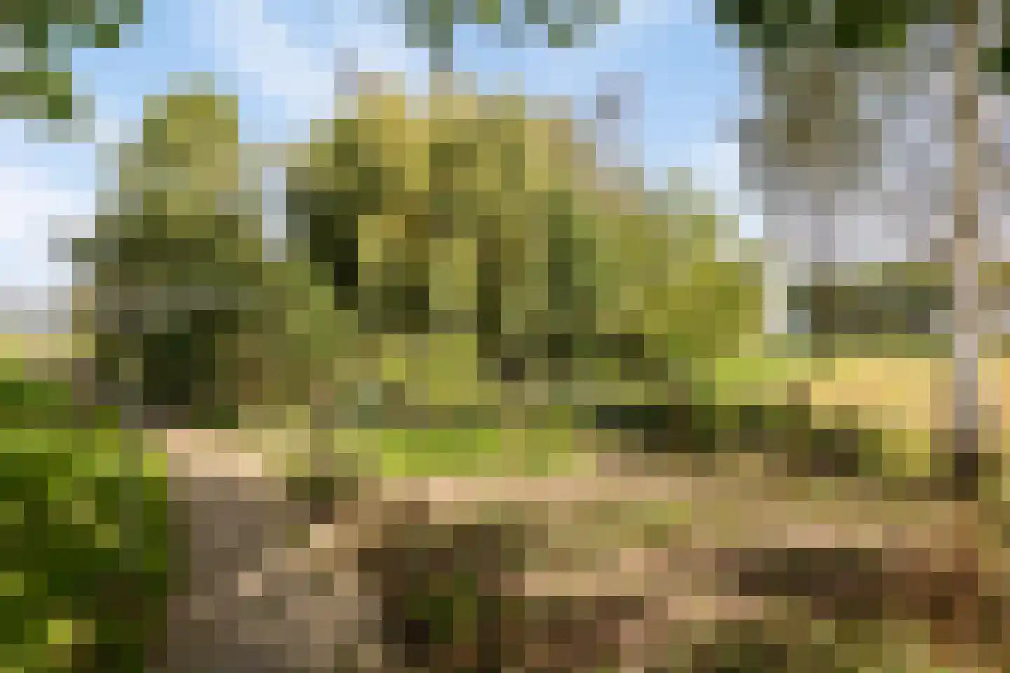 Krommenhoek 1 Maren-Kessel thumbnail 39