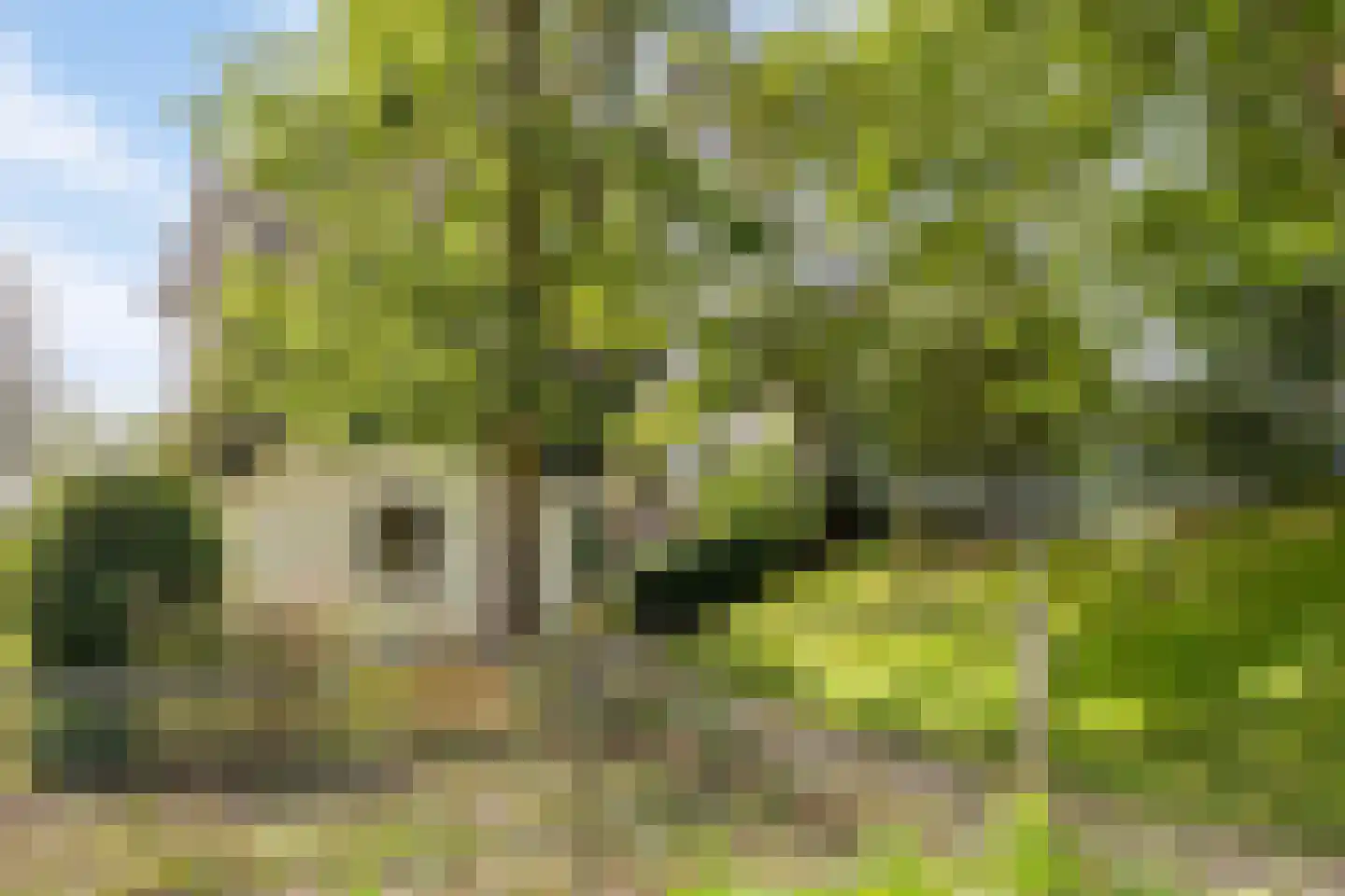 Krommenhoek 1 Maren-Kessel thumbnail 40