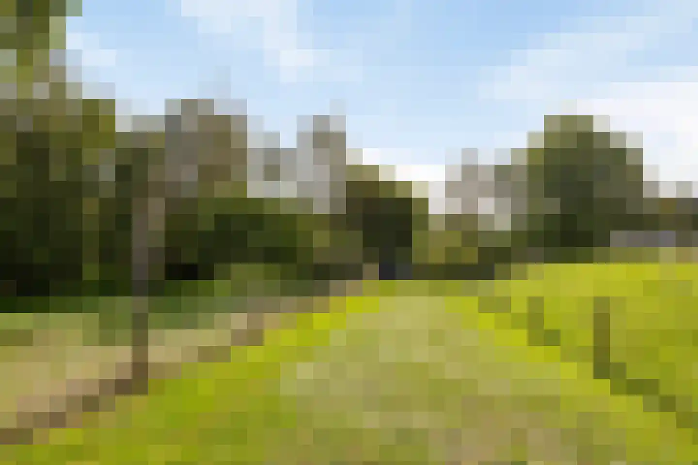 Krommenhoek 1 Maren-Kessel thumbnail 43