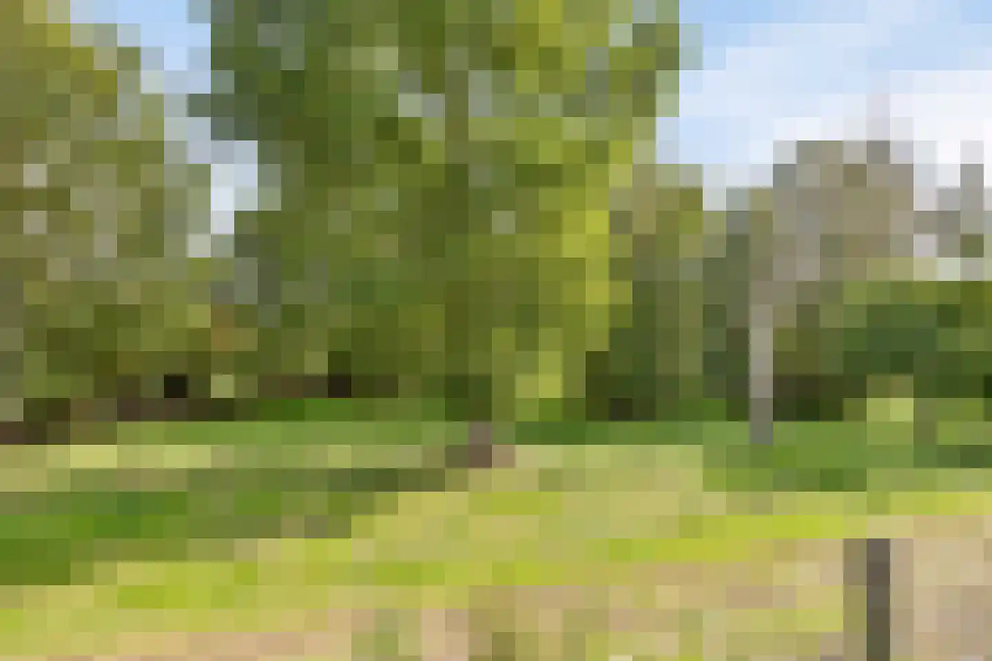 Krommenhoek 1 Maren-Kessel thumbnail 44