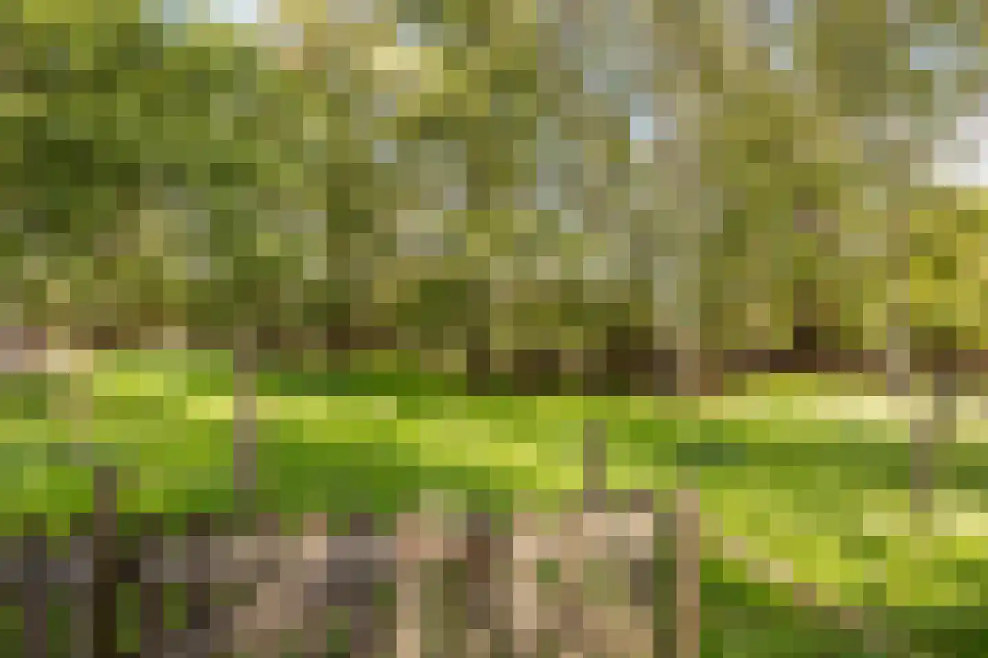 Krommenhoek 1 Maren-Kessel thumbnail 45
