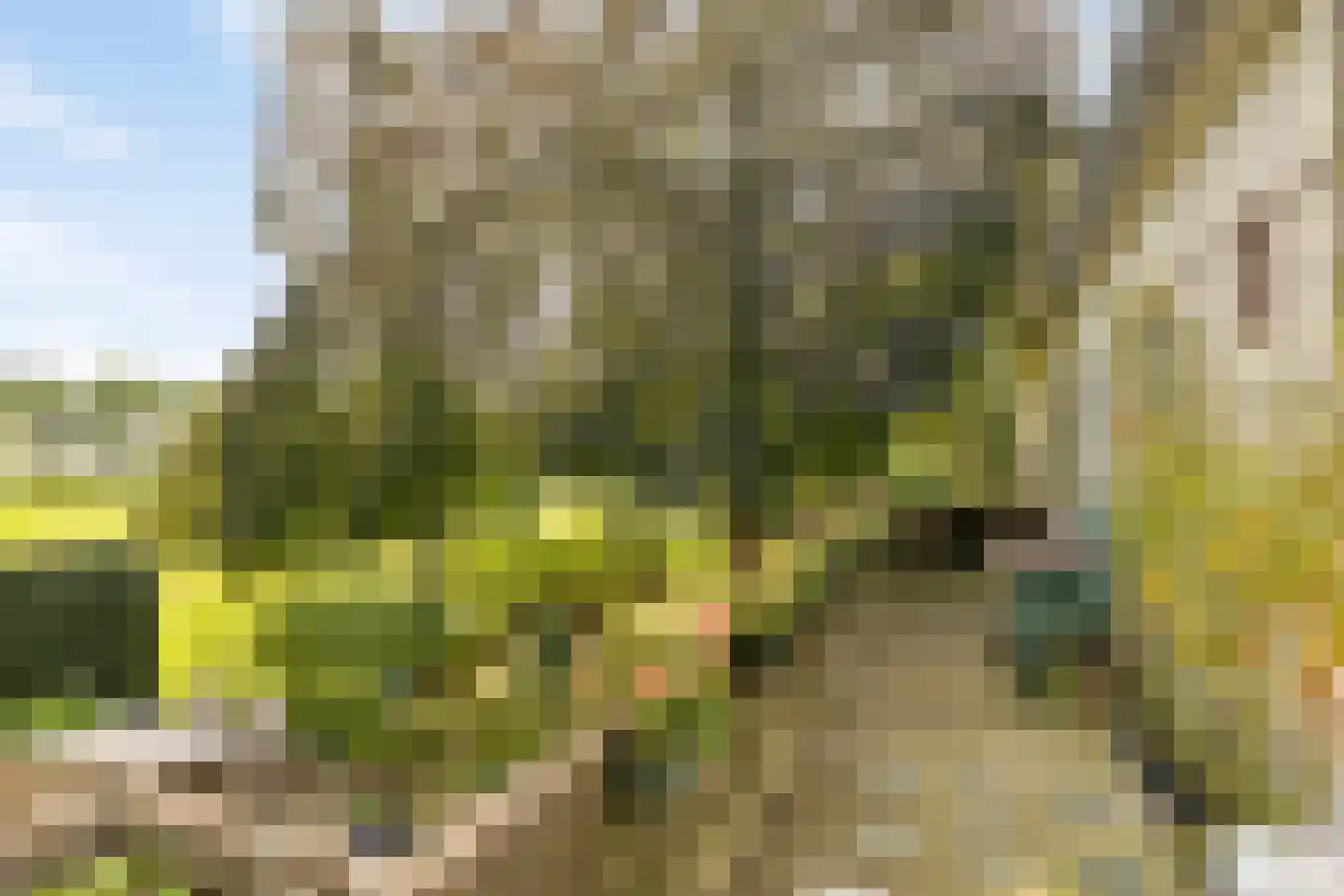 Krommenhoek 1 Maren-Kessel thumbnail 48