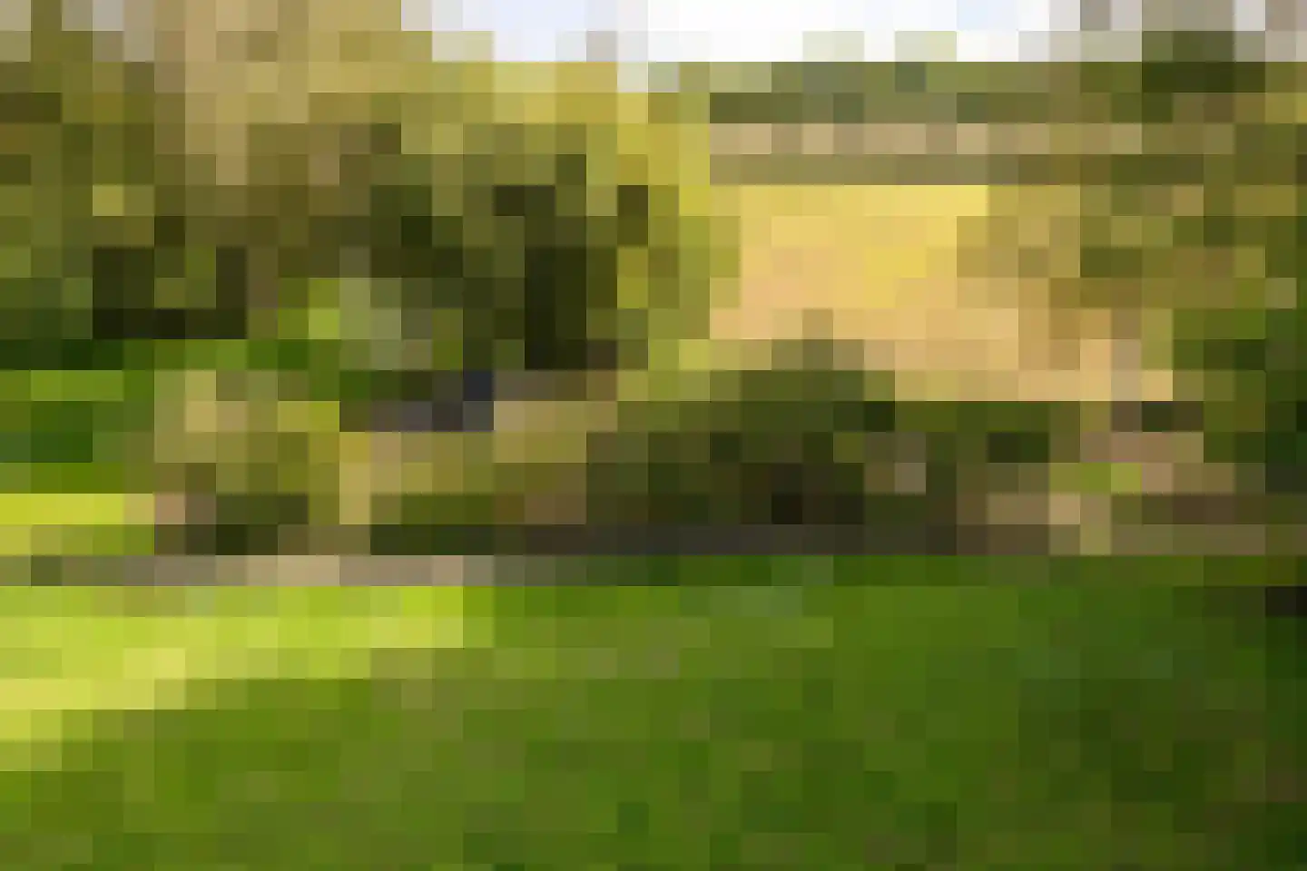 Krommenhoek 1 Maren-Kessel thumbnail 50