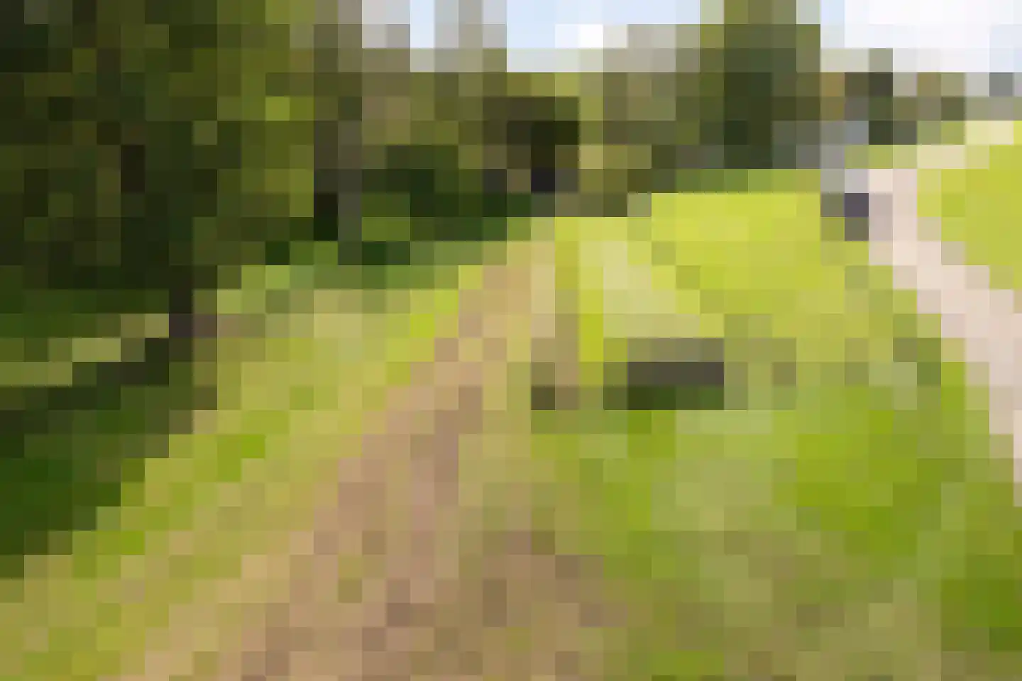 Krommenhoek 1 Maren-Kessel thumbnail 51