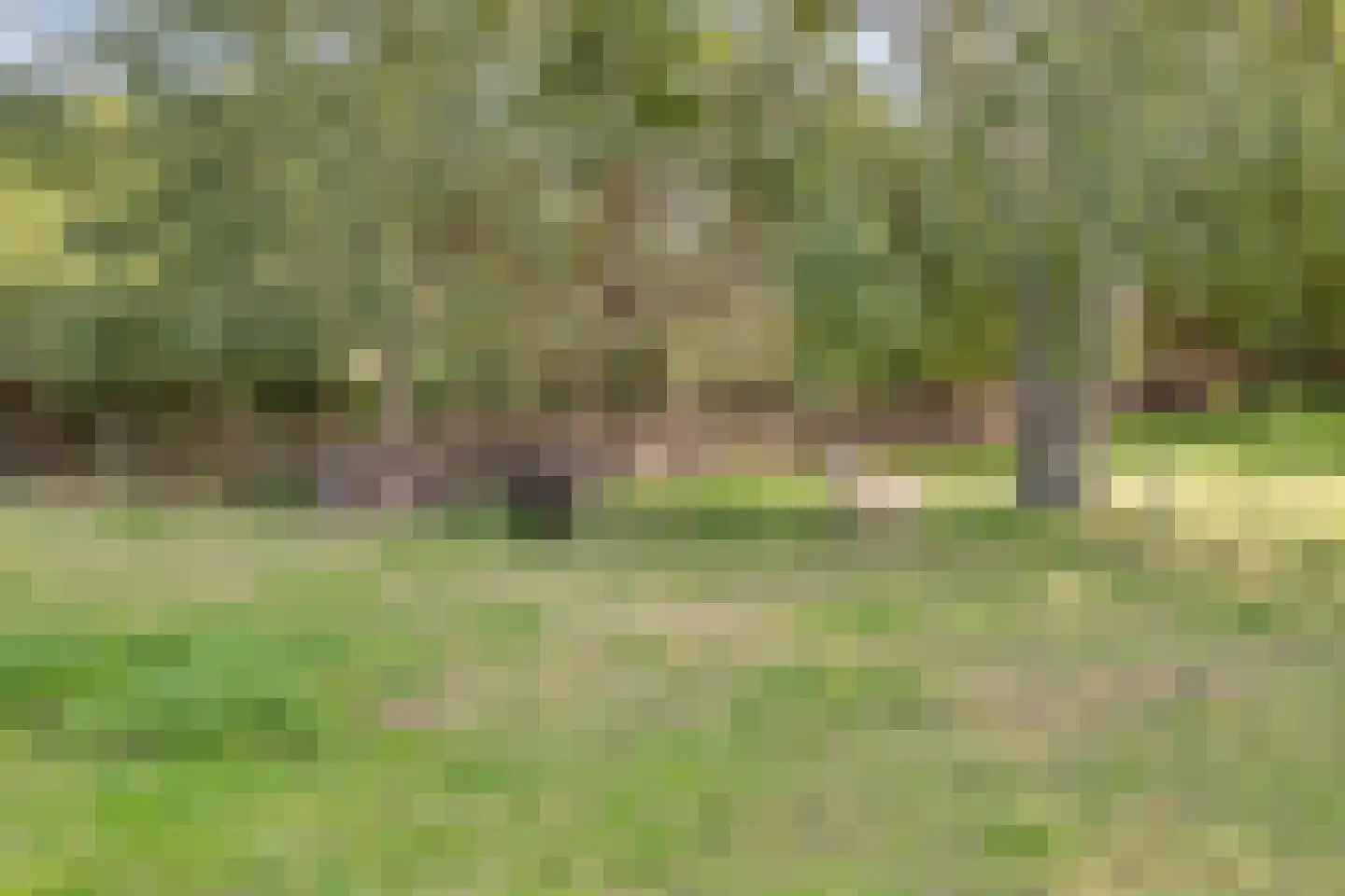 Krommenhoek 1 Maren-Kessel thumbnail 52