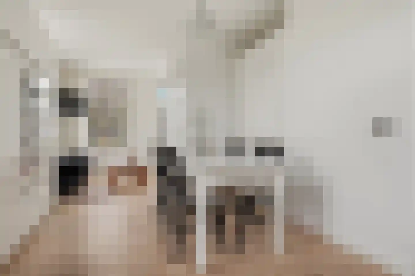 Krommeniedijk 1 Krommenie thumbnail 10
