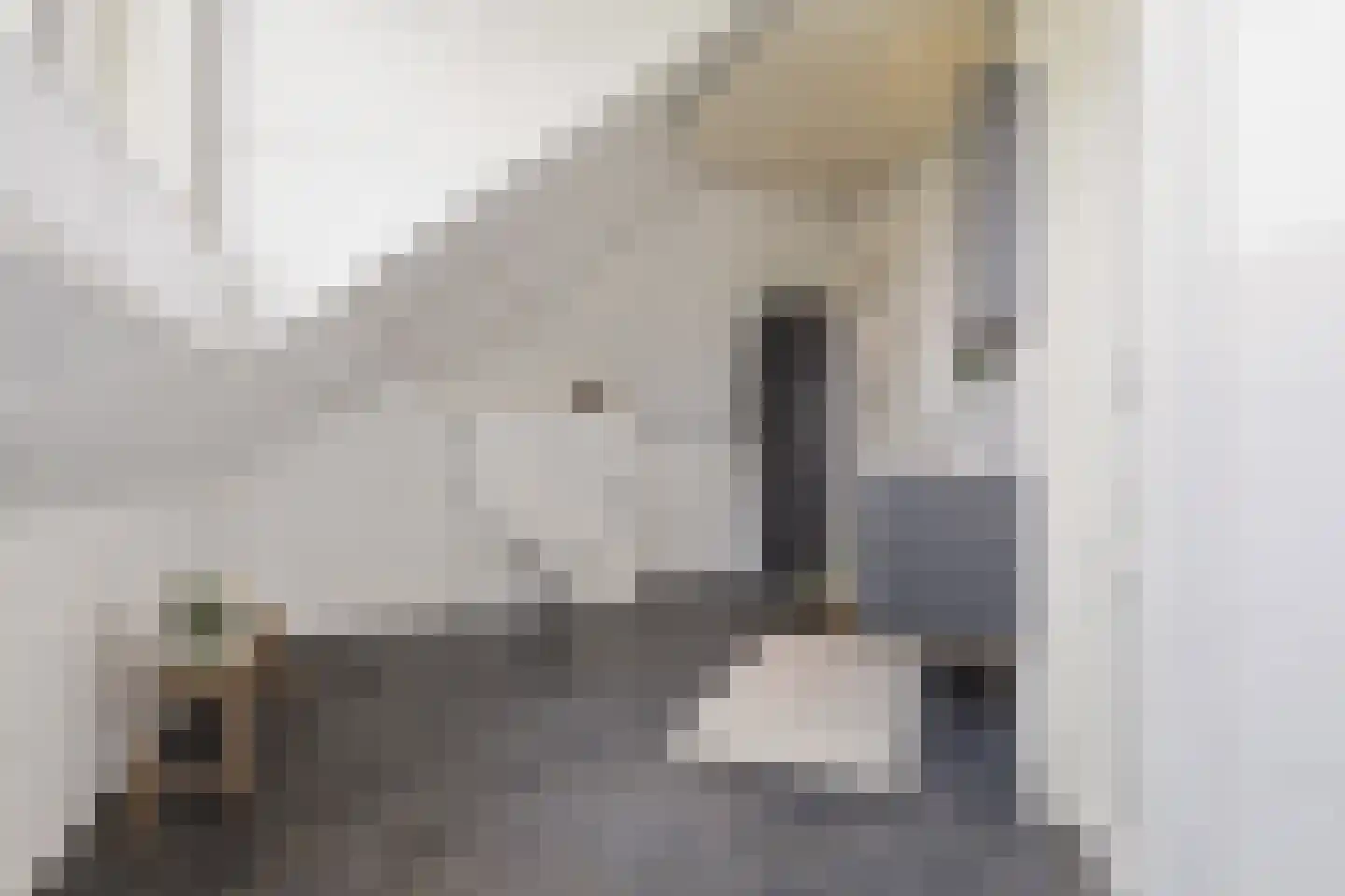 Krommeniedijk 1 Krommenie thumbnail 25