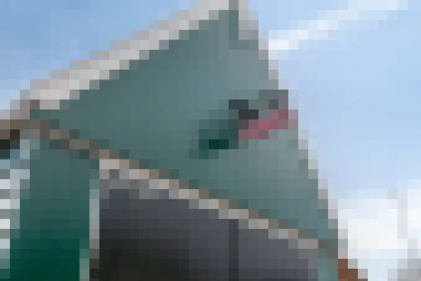 Krommeniedijk 114 Krommenie thumbnail 18