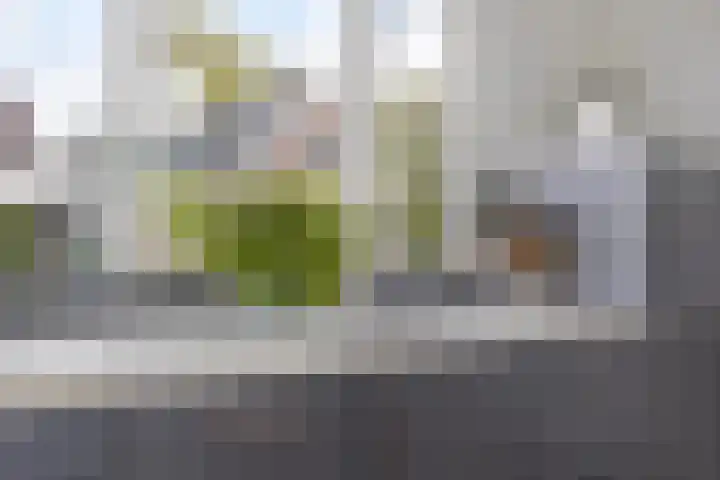 Krommeniedijk 43 Krommenie thumbnail 10