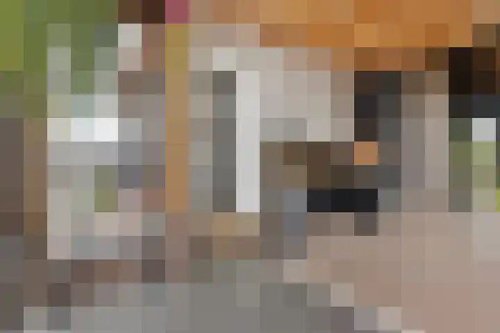Krommeniedijk 43 Krommenie thumbnail 13