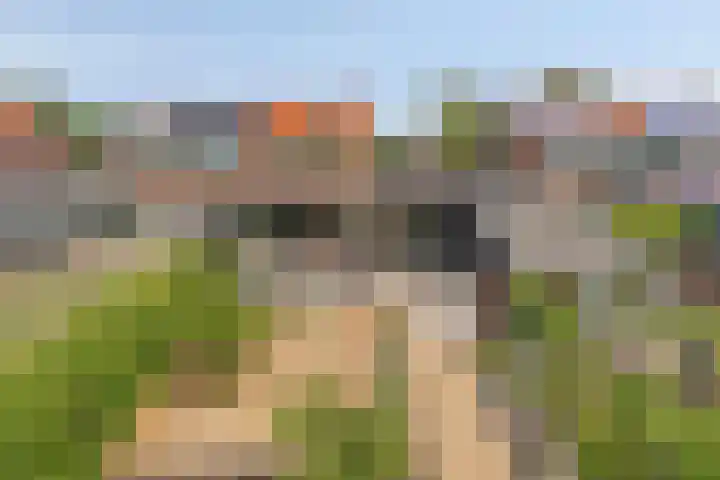 Krommeniedijk 43 Krommenie thumbnail 18