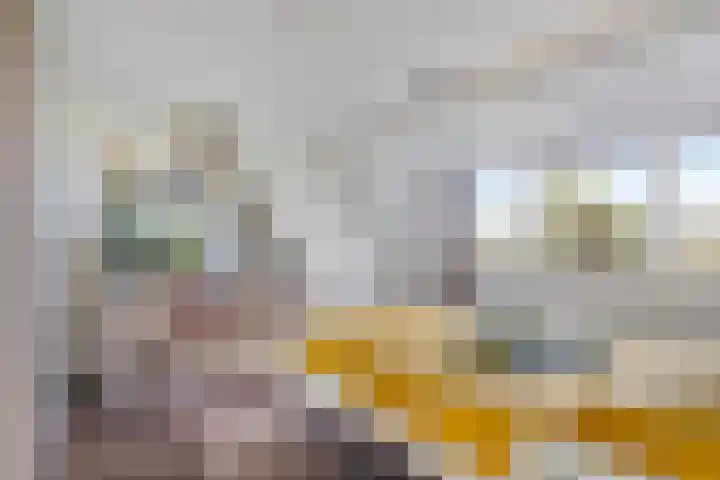 Krommeniedijk 43 Krommenie thumbnail 22