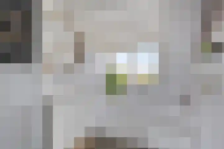 Krommeniedijk 43 Krommenie thumbnail 25