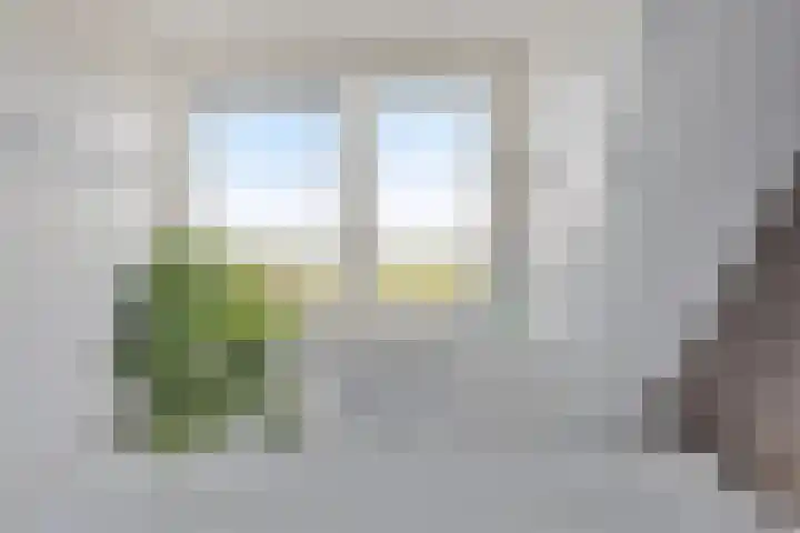 Krommeniedijk 43 Krommenie thumbnail 26