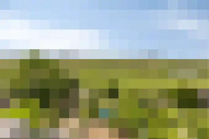 Krommeniedijk 43 Krommenie thumbnail 32