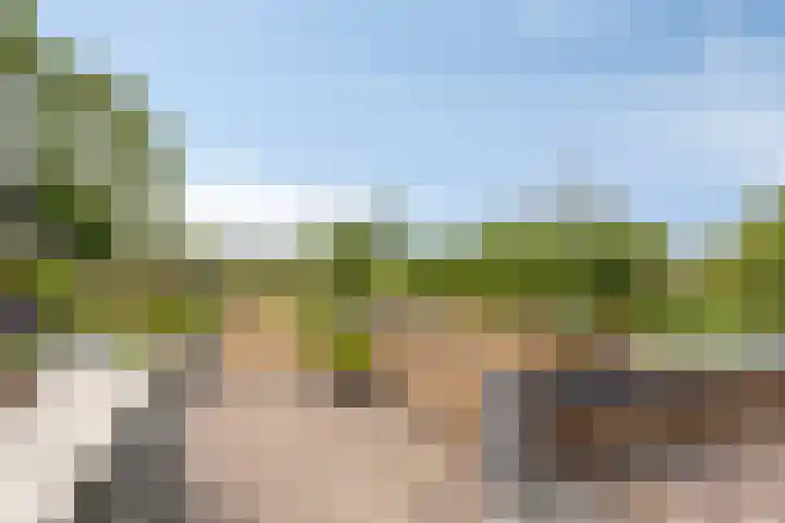Krommeniedijk 43 Krommenie thumbnail 37