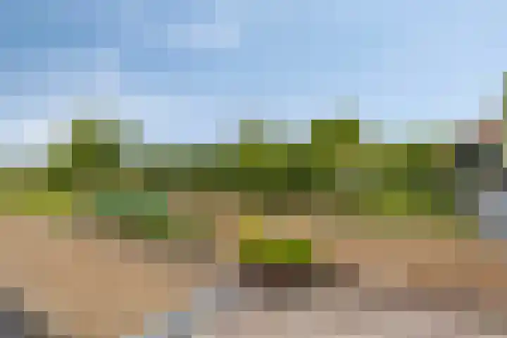 Krommeniedijk 43 Krommenie thumbnail 39