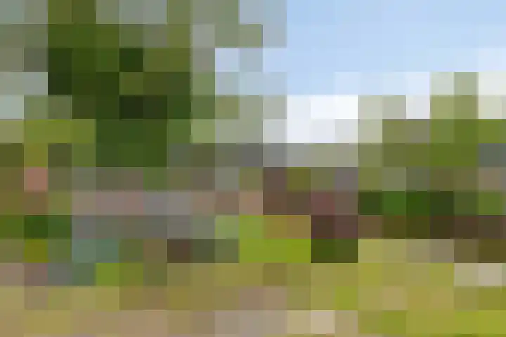 Krommeniedijk 43 Krommenie thumbnail 40