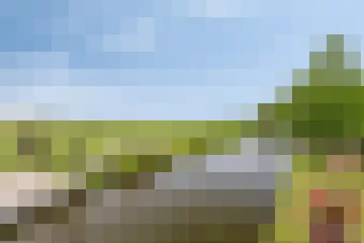 Krommeniedijk 43 Krommenie thumbnail 41